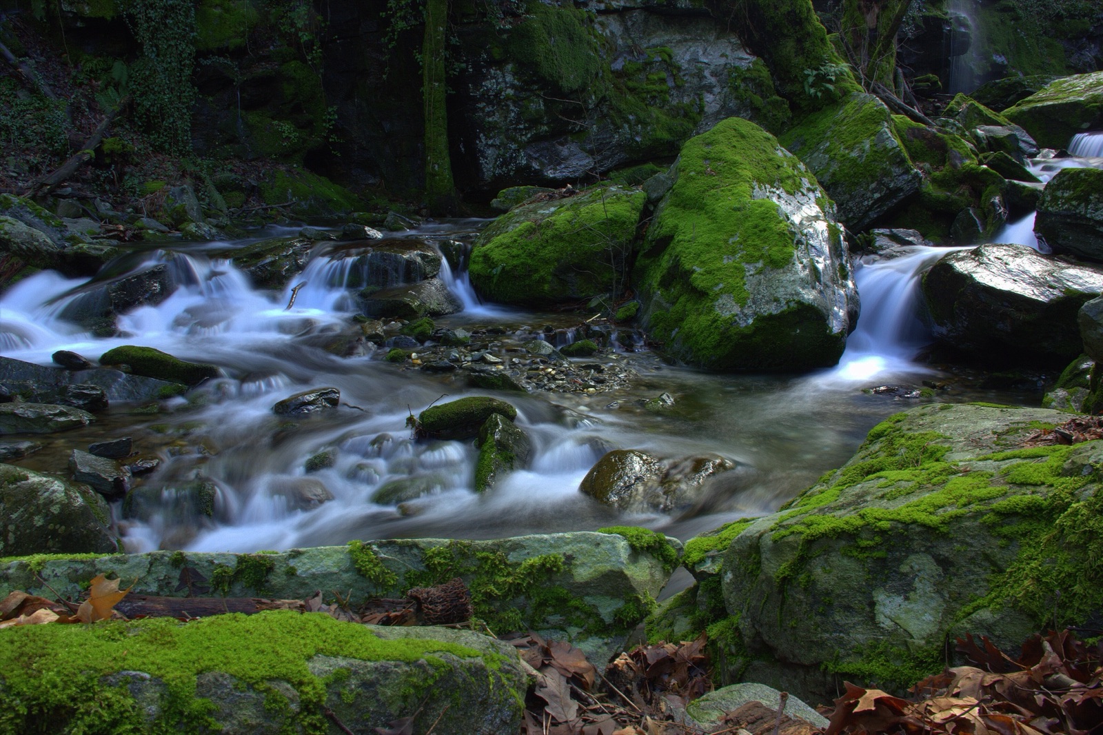 Kazdağları’nda sonbaharda dere ve dökülmüş yapraklar